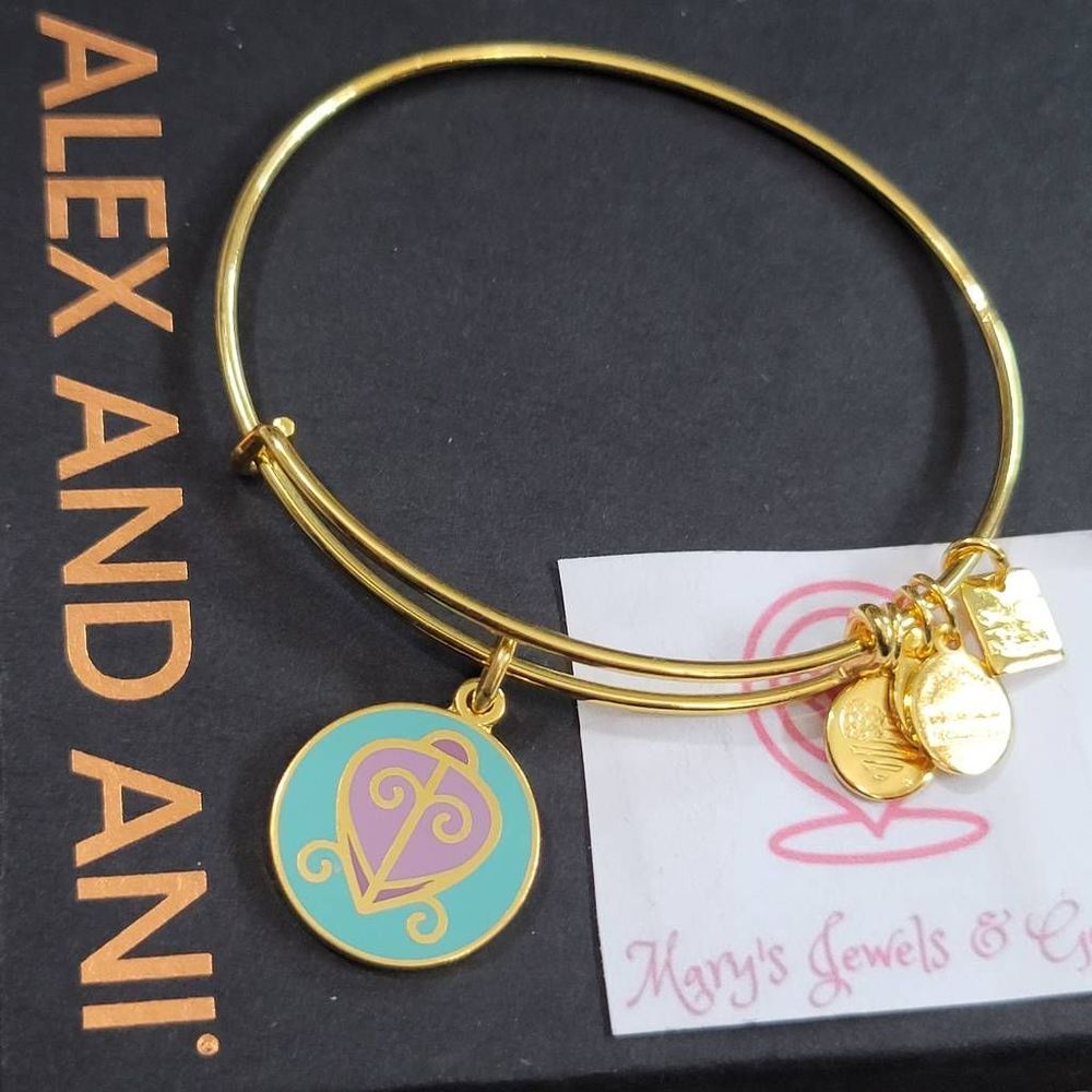 Alex and Ani the way home charm bracelet